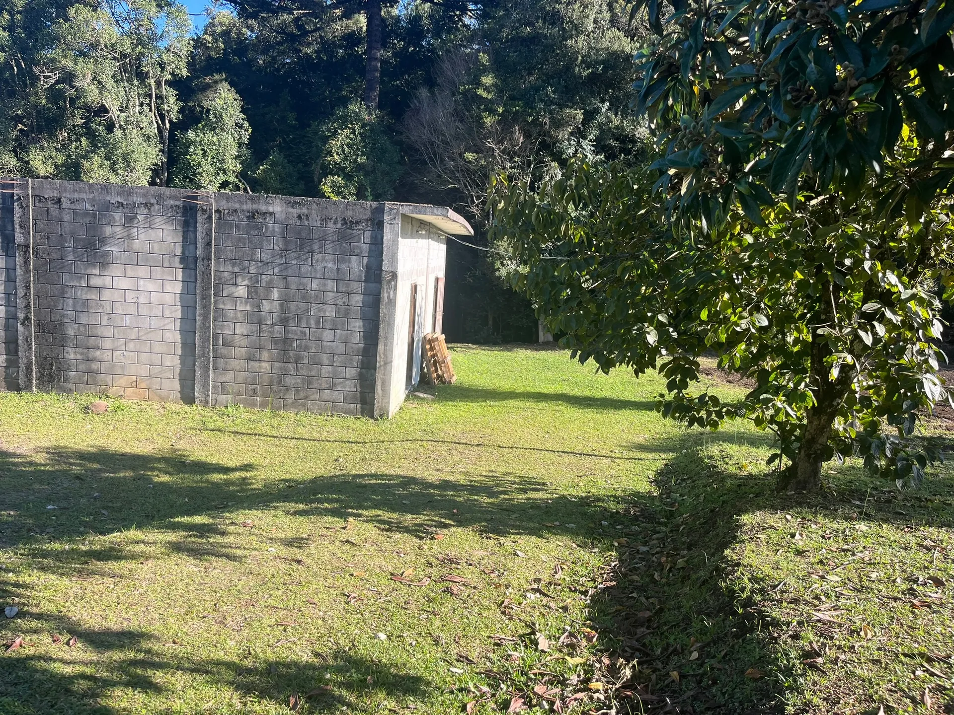 Sítio, 1 quarto, 2000 m² - Foto 24