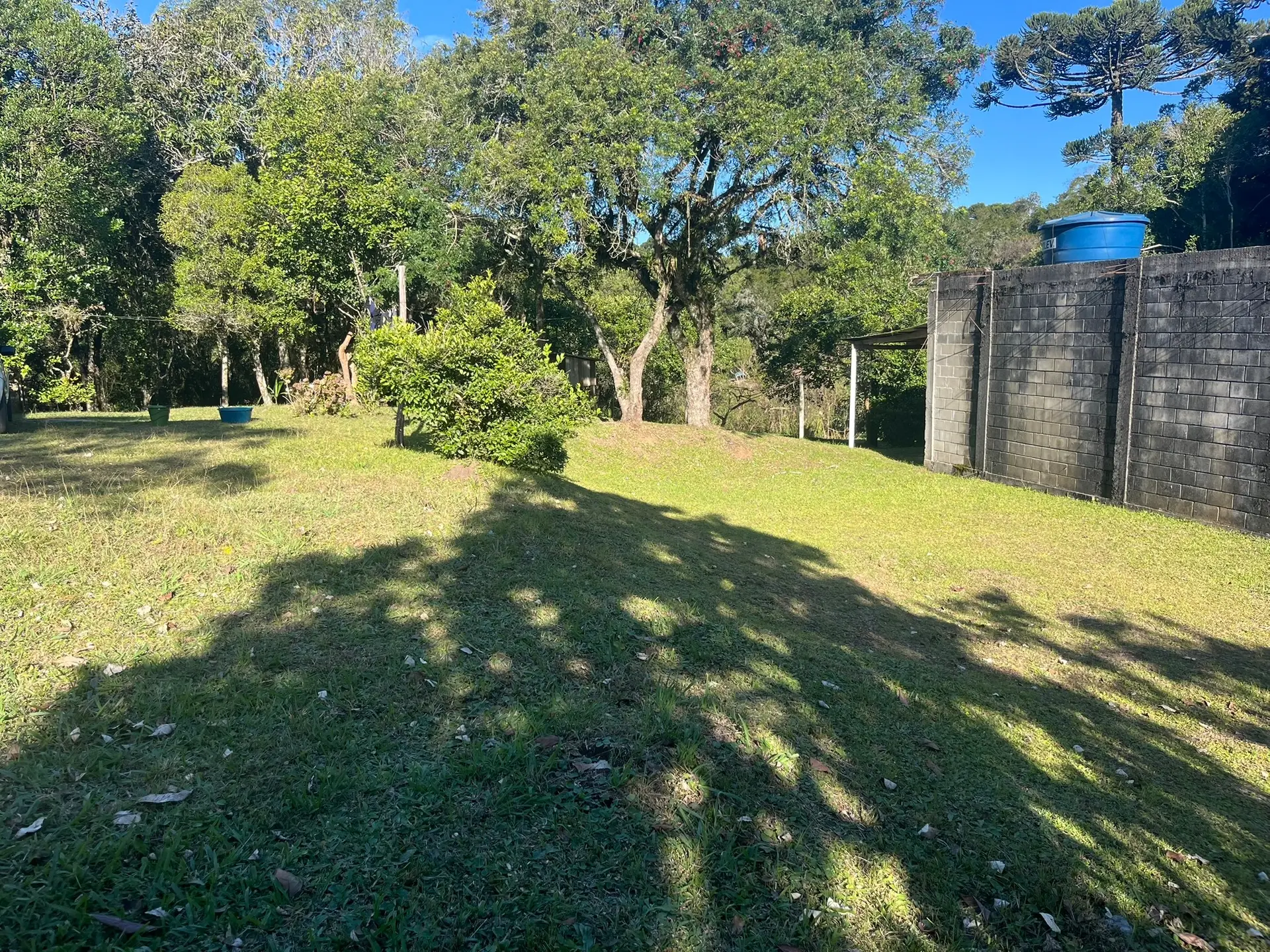Sítio, 1 quarto, 2000 m² - Foto 2