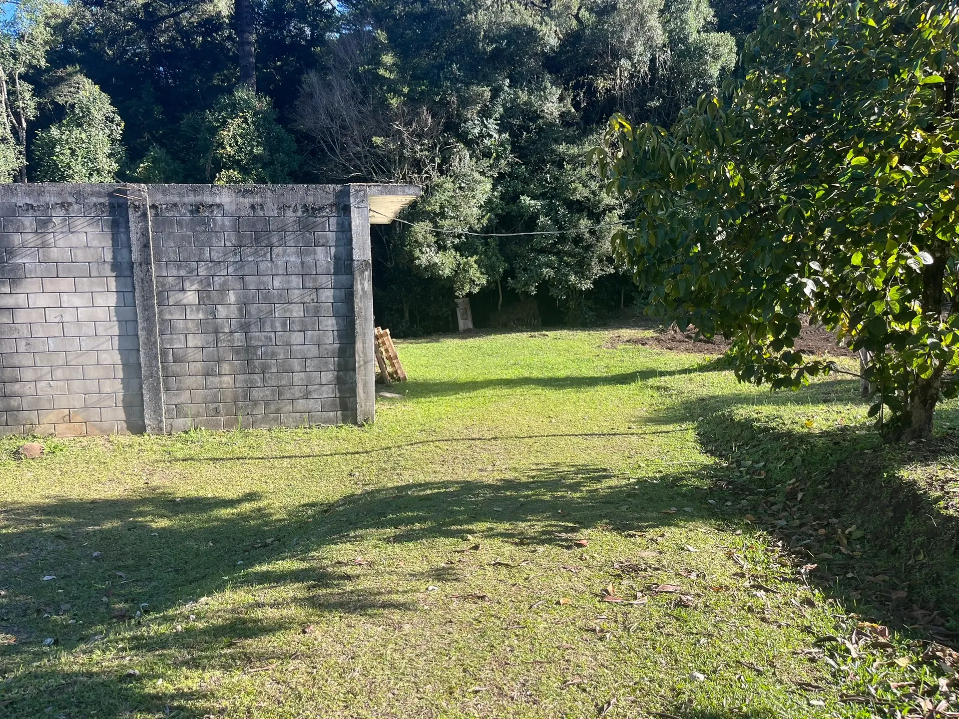 Sítio, 1 quarto, 2000 m² - Foto 8