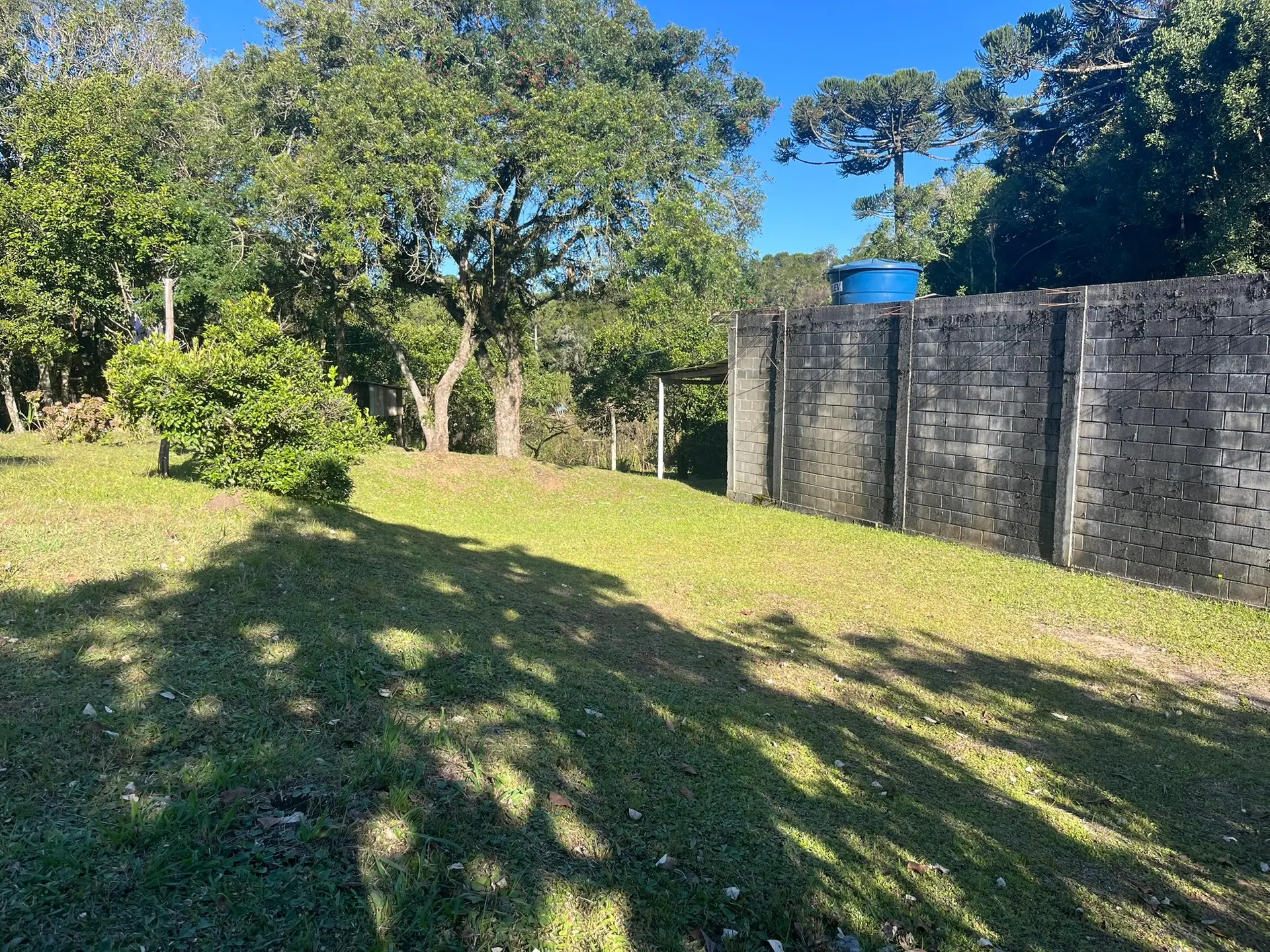 Sítio, 1 quarto, 2000 m² - Foto 9