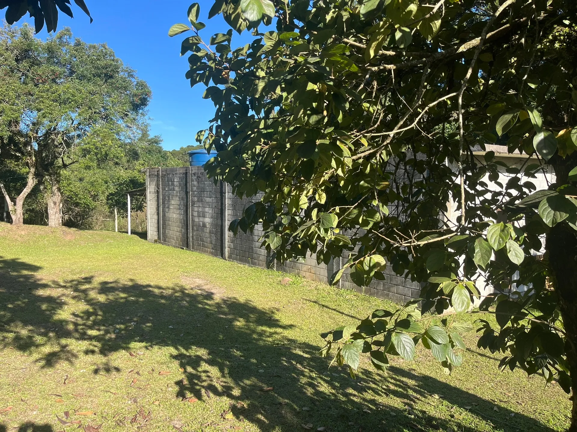 Sítio, 1 quarto, 2000 m² - Foto 11