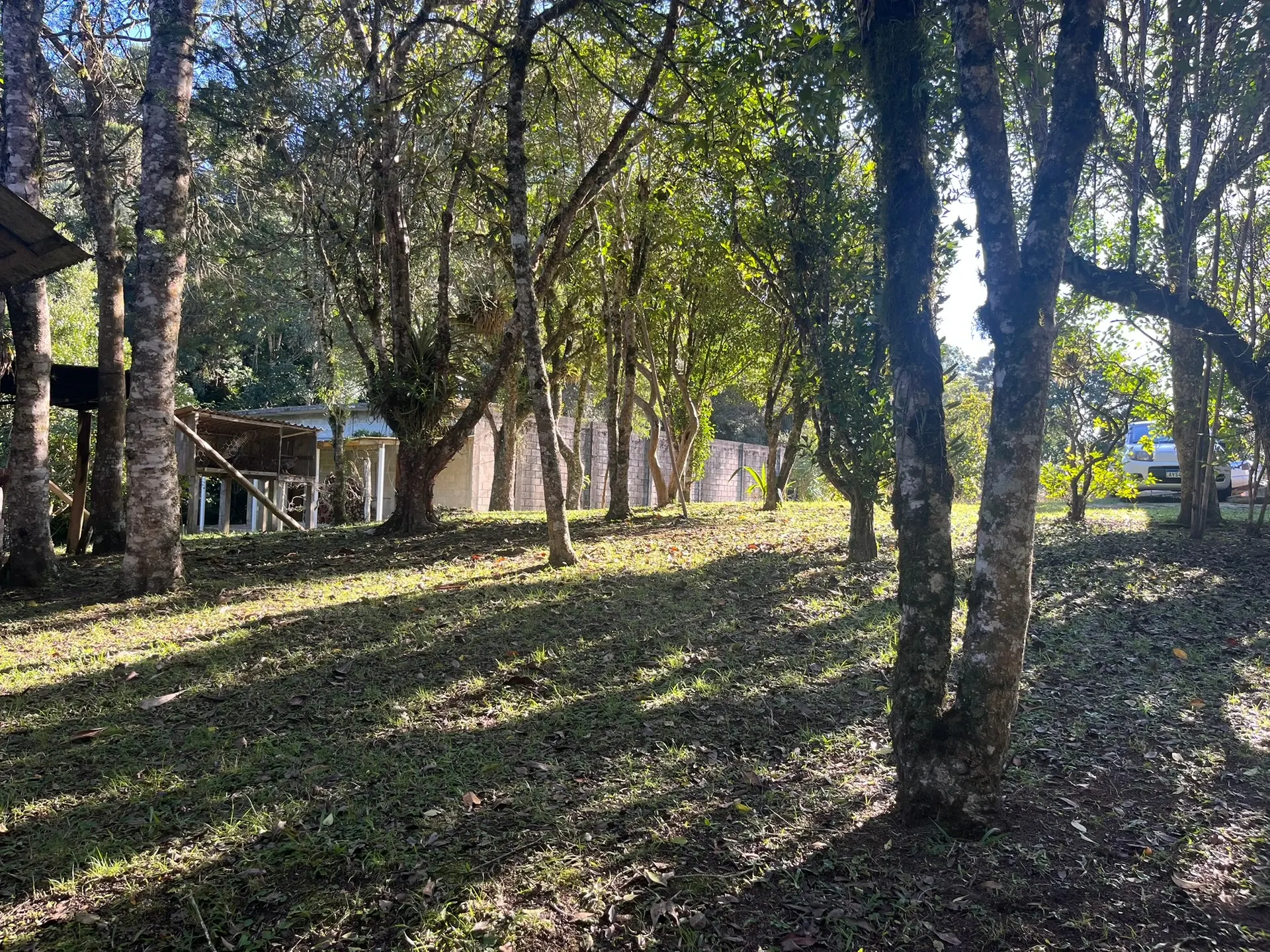 Sítio, 1 quarto, 2000 m² - Foto 4