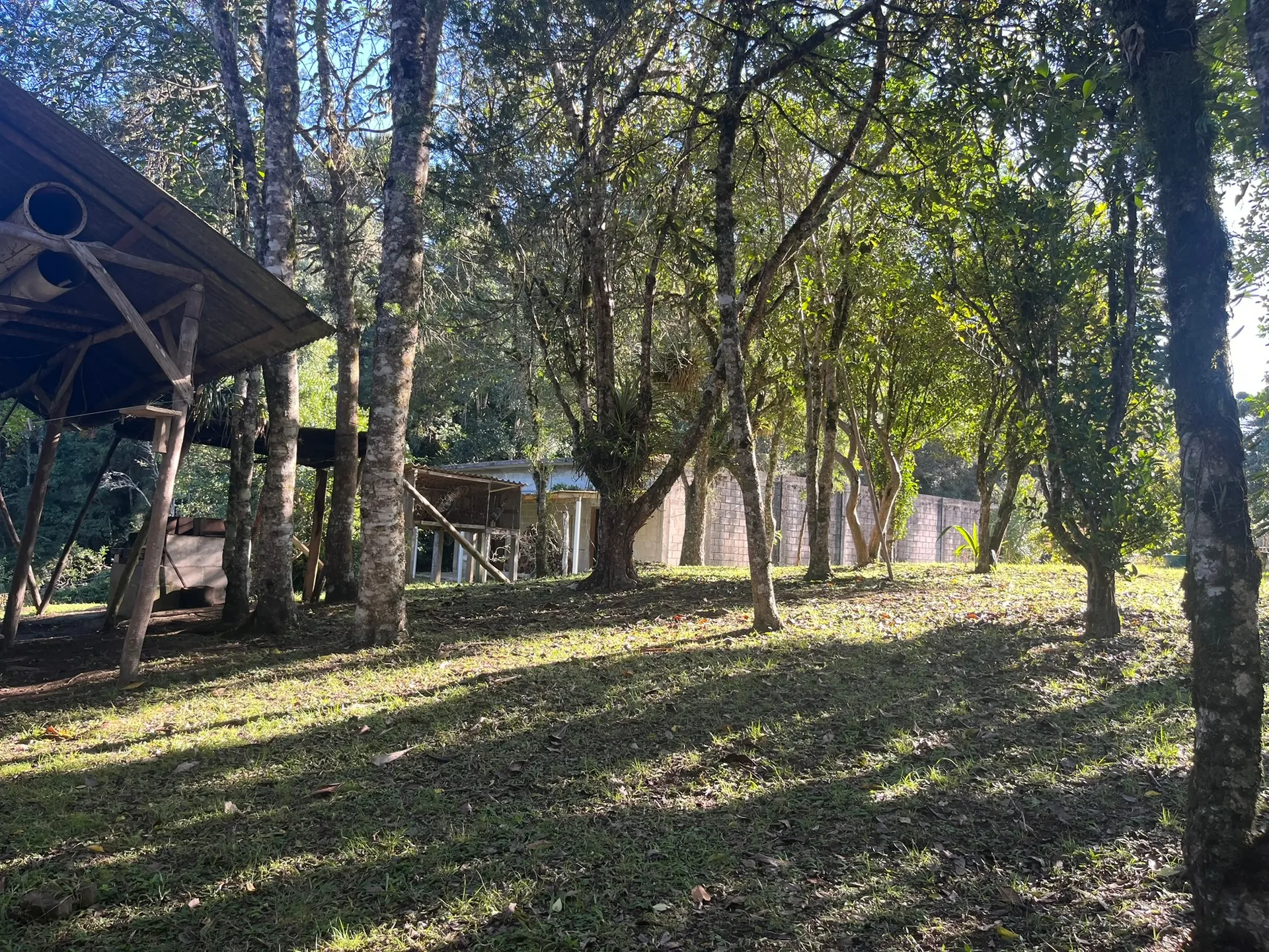 Sítio, 1 quarto, 2000 m² - Foto 21