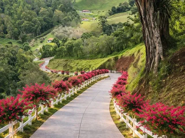 Chácara com 2113m², à venda, no bairro Brumado em Delfim Moreira