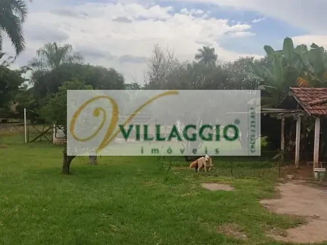 Chácara com 5000m², à venda, no bairro Fazenda Piedade em Mirassol