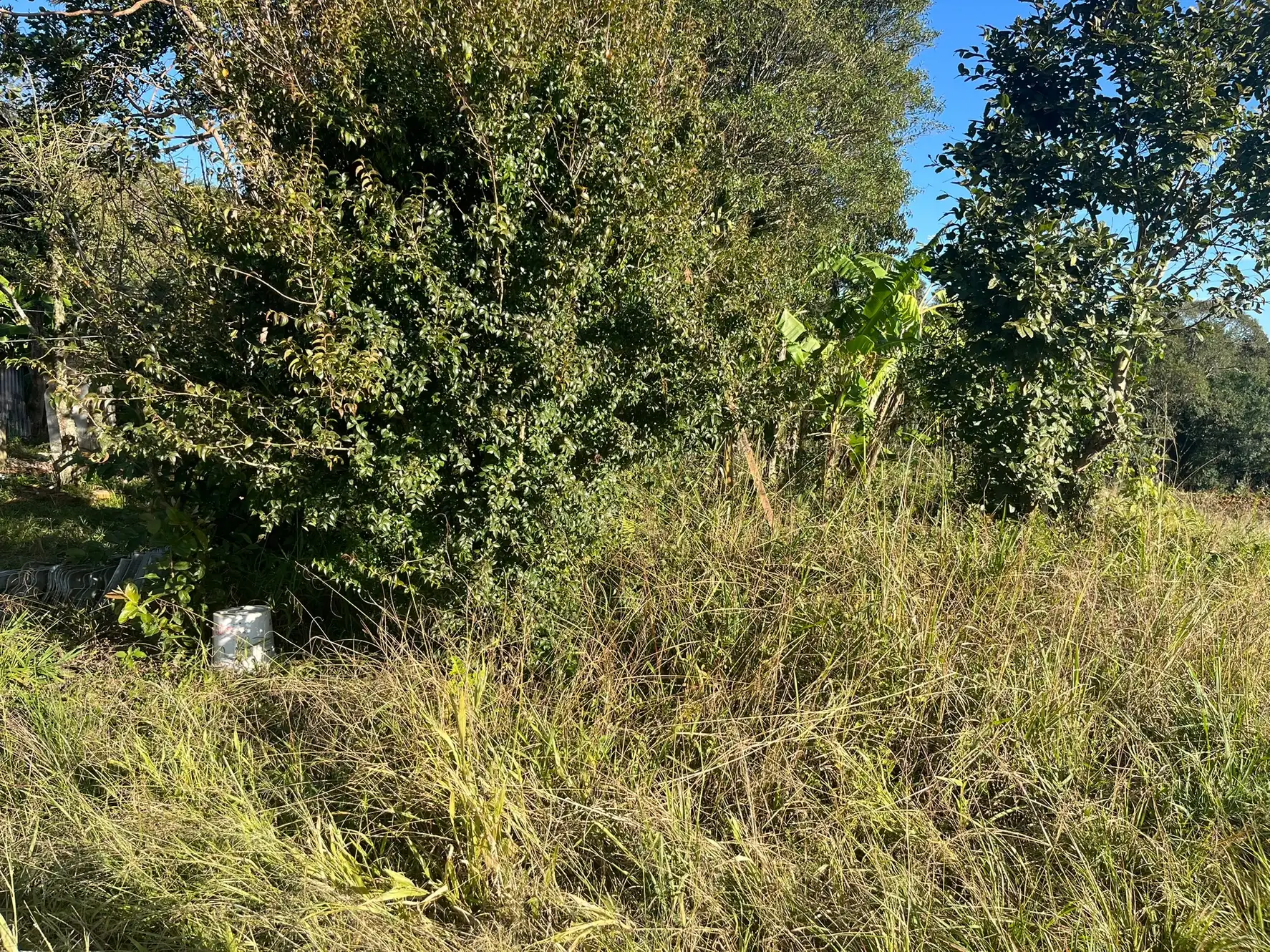 Sítio, 2 quartos, 5000 m² - Foto 8