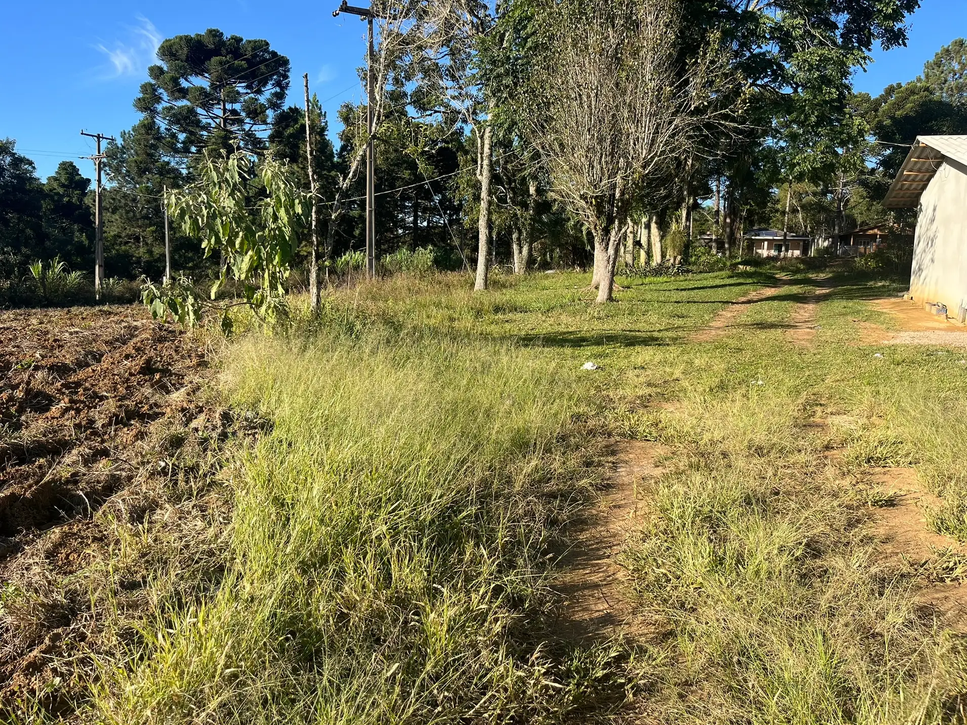 Sítio, 2 quartos, 5000 m² - Foto 9