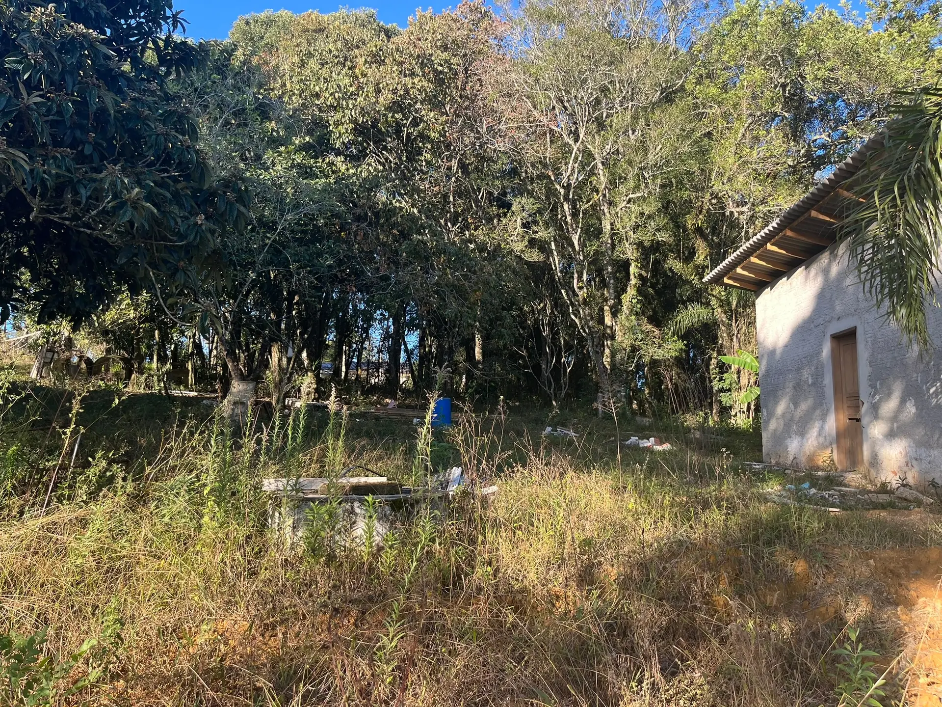 Sítio, 2 quartos, 5000 m² - Foto 11