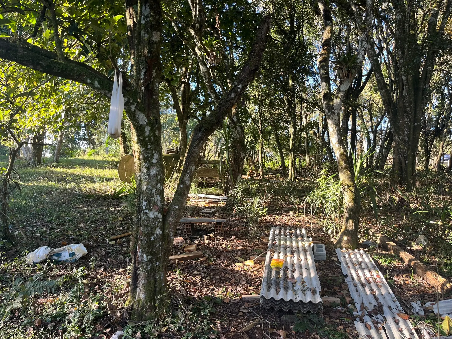 Sítio, 2 quartos, 5000 m² - Foto 12