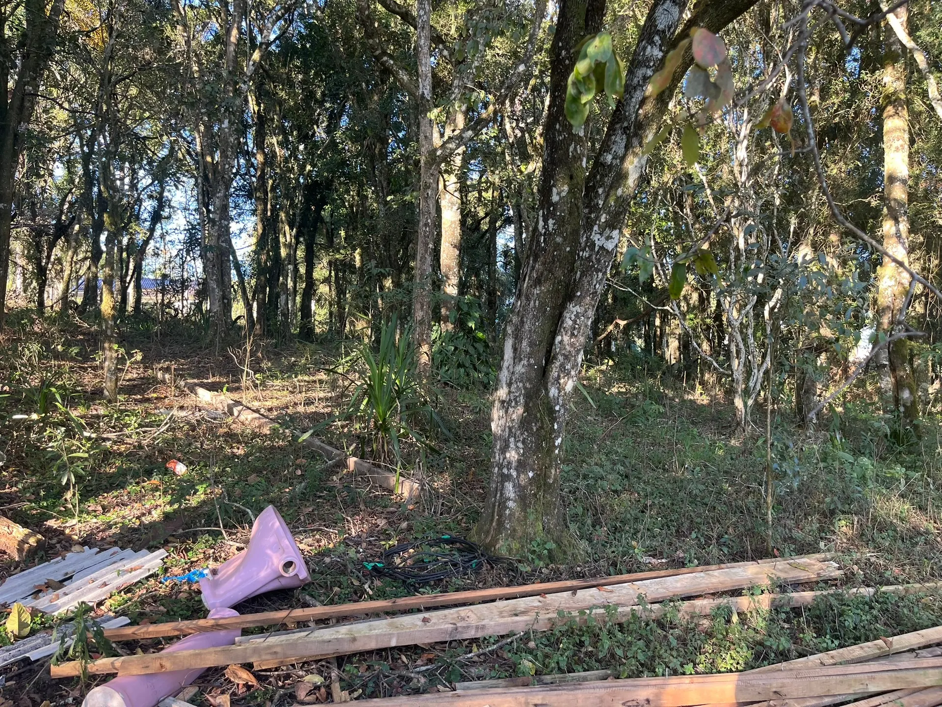 Sítio, 2 quartos, 5000 m² - Foto 2