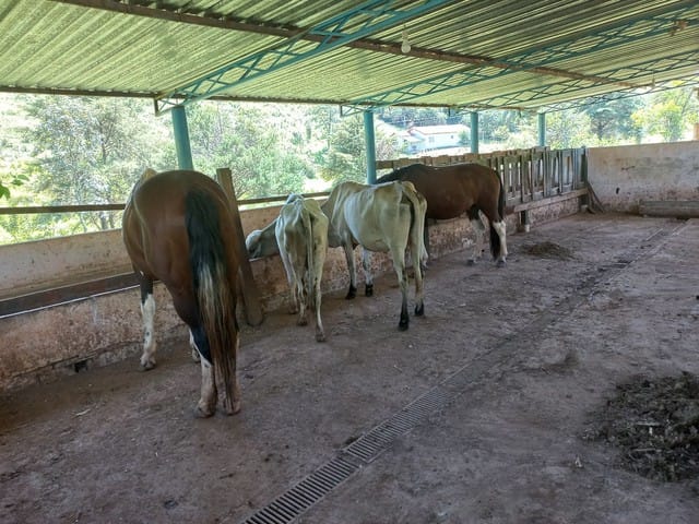 Chácara com 121000m², à venda, no bairro Rio Abaixo em São Luiz Do Paraitinga