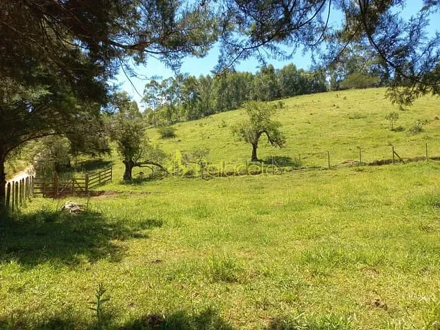Chácara com 121000m², à venda, no bairro Rio Abaixo em São Luiz Do Paraitinga