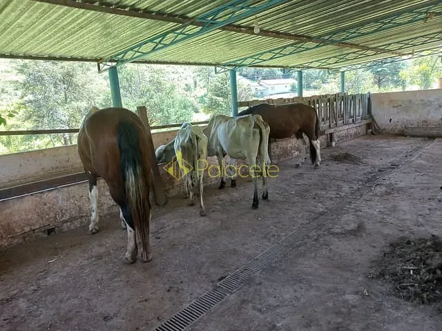 Chácara com 121000m², à venda, no bairro Rio Abaixo em São Luiz Do Paraitinga