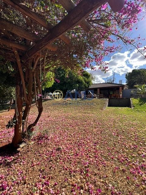 Sítio, 6 quartos, 2136 m² - Foto 6