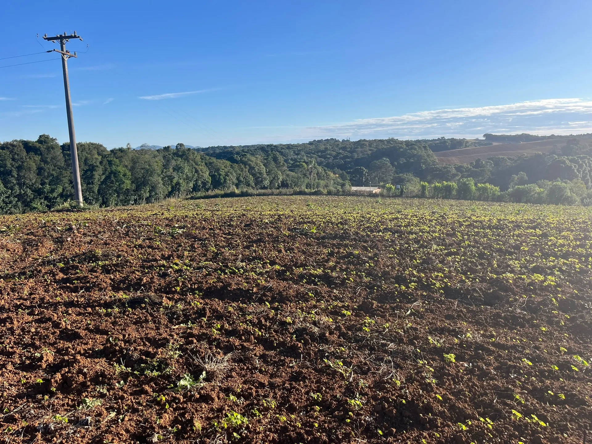Terreno, 5000 m² - Foto 4