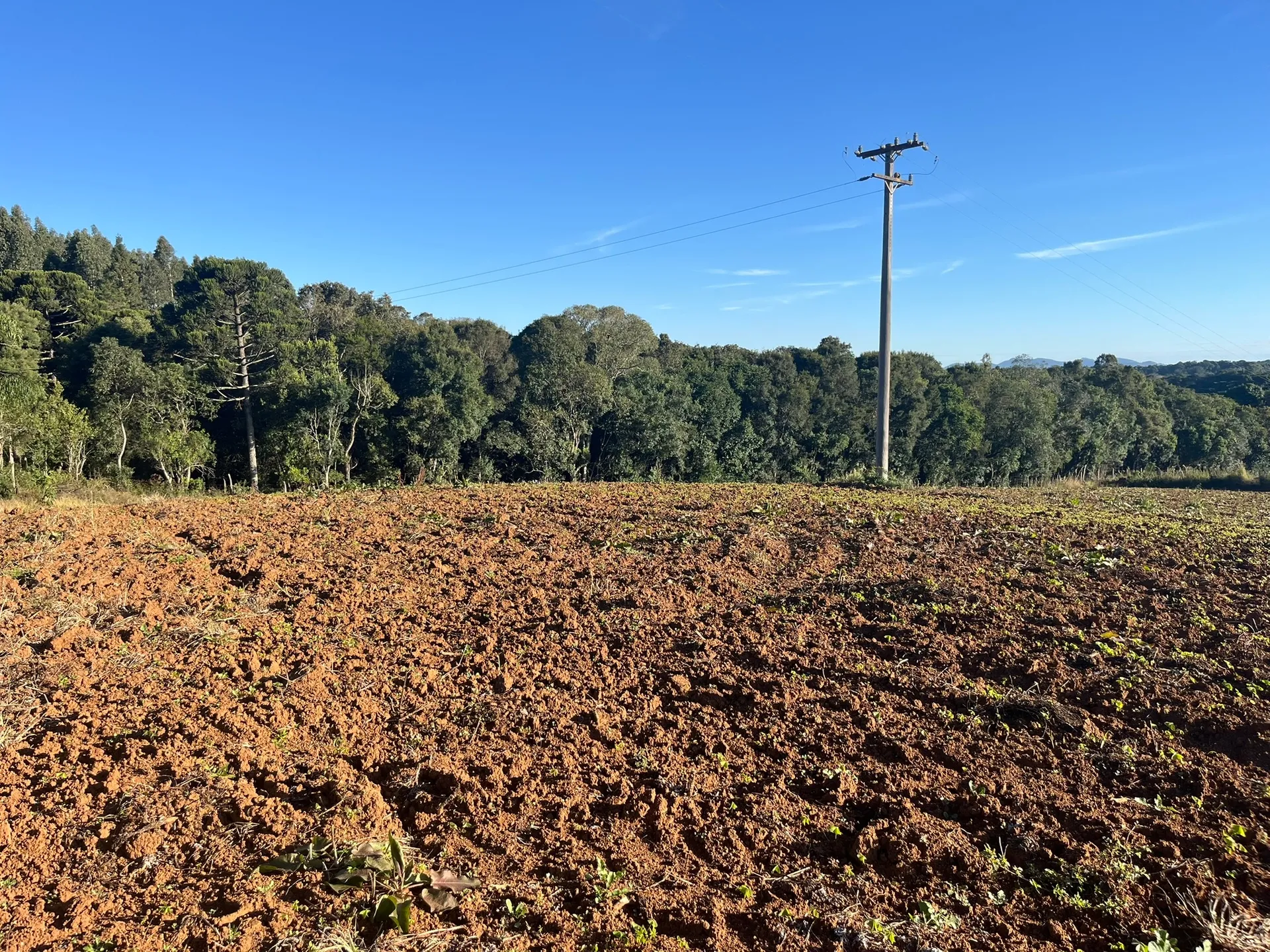 Terreno, 5000 m² - Foto 5