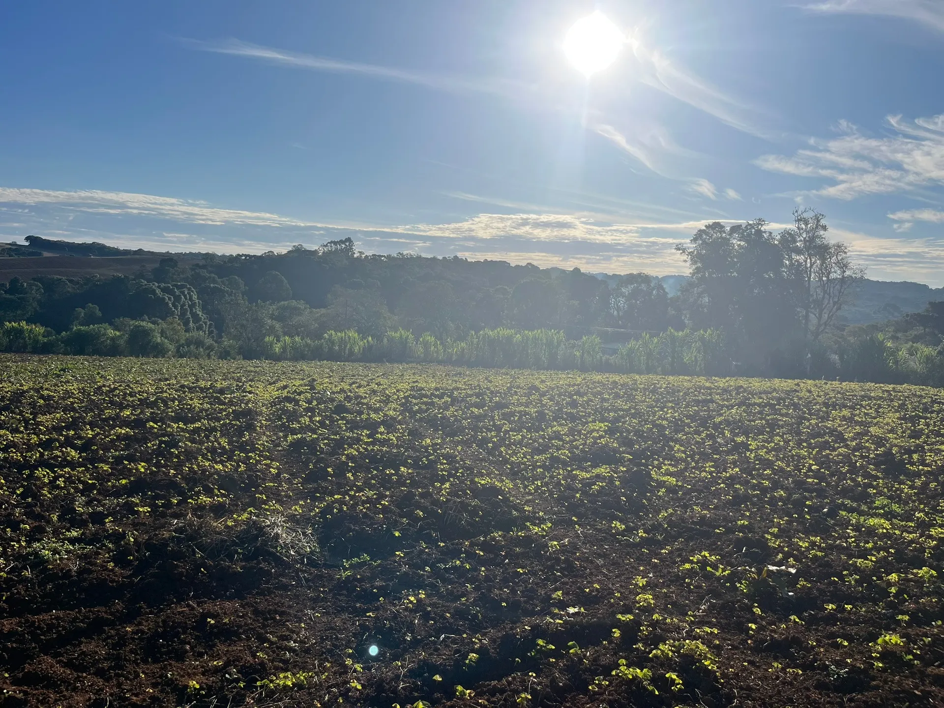 Terreno, 5000 m² - Foto 6