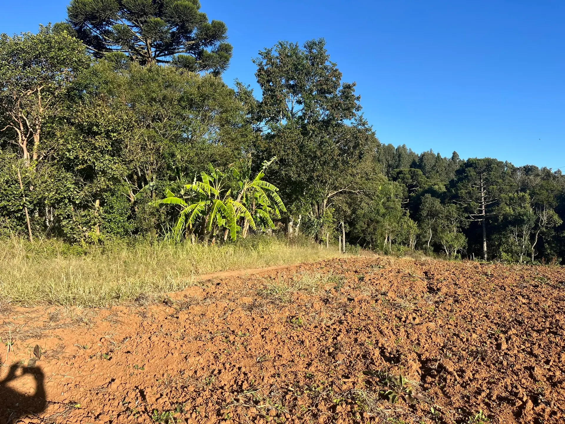 Terreno, 5000 m² - Foto 7