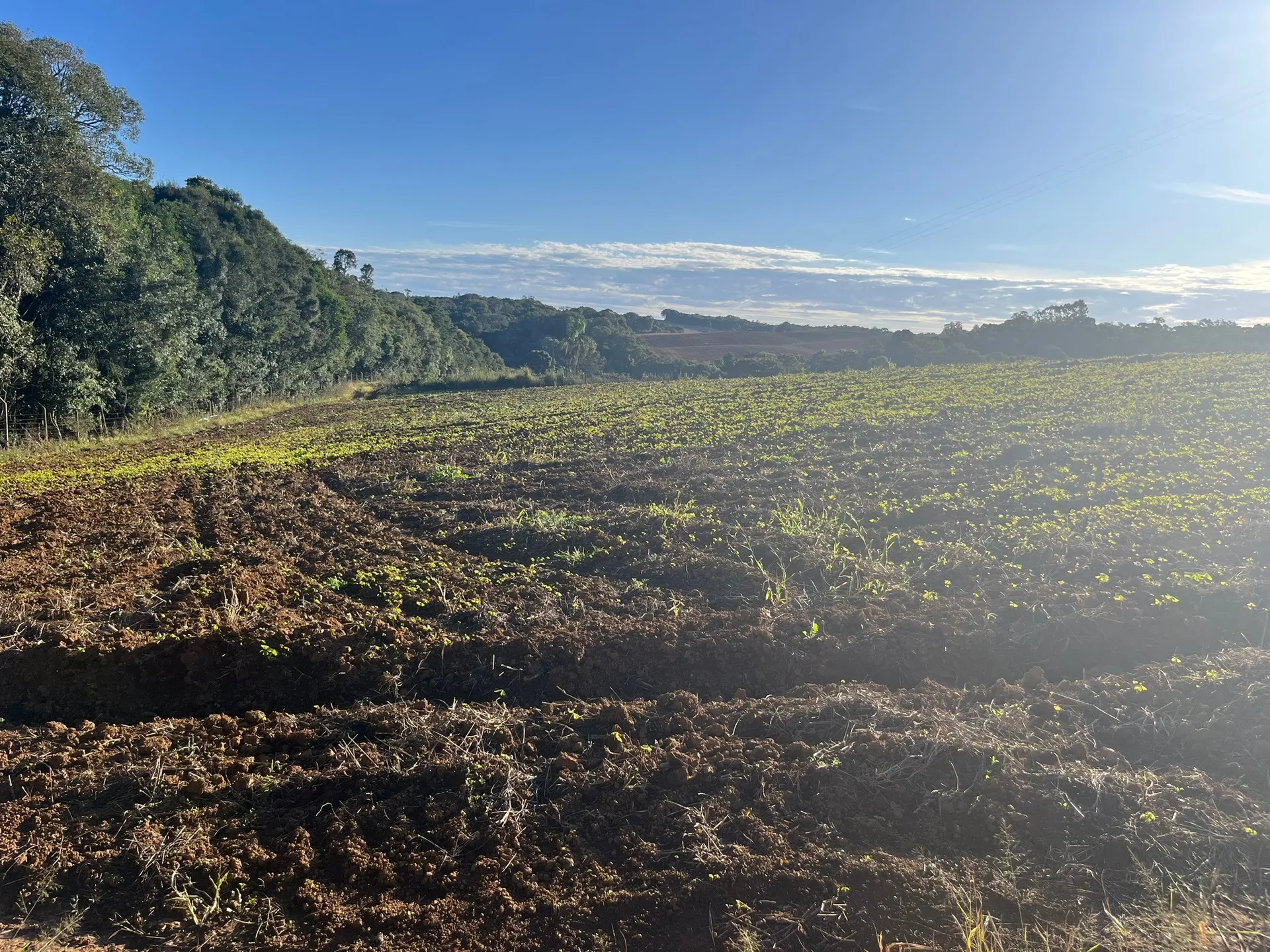 Terreno, 5000 m² - Foto 8