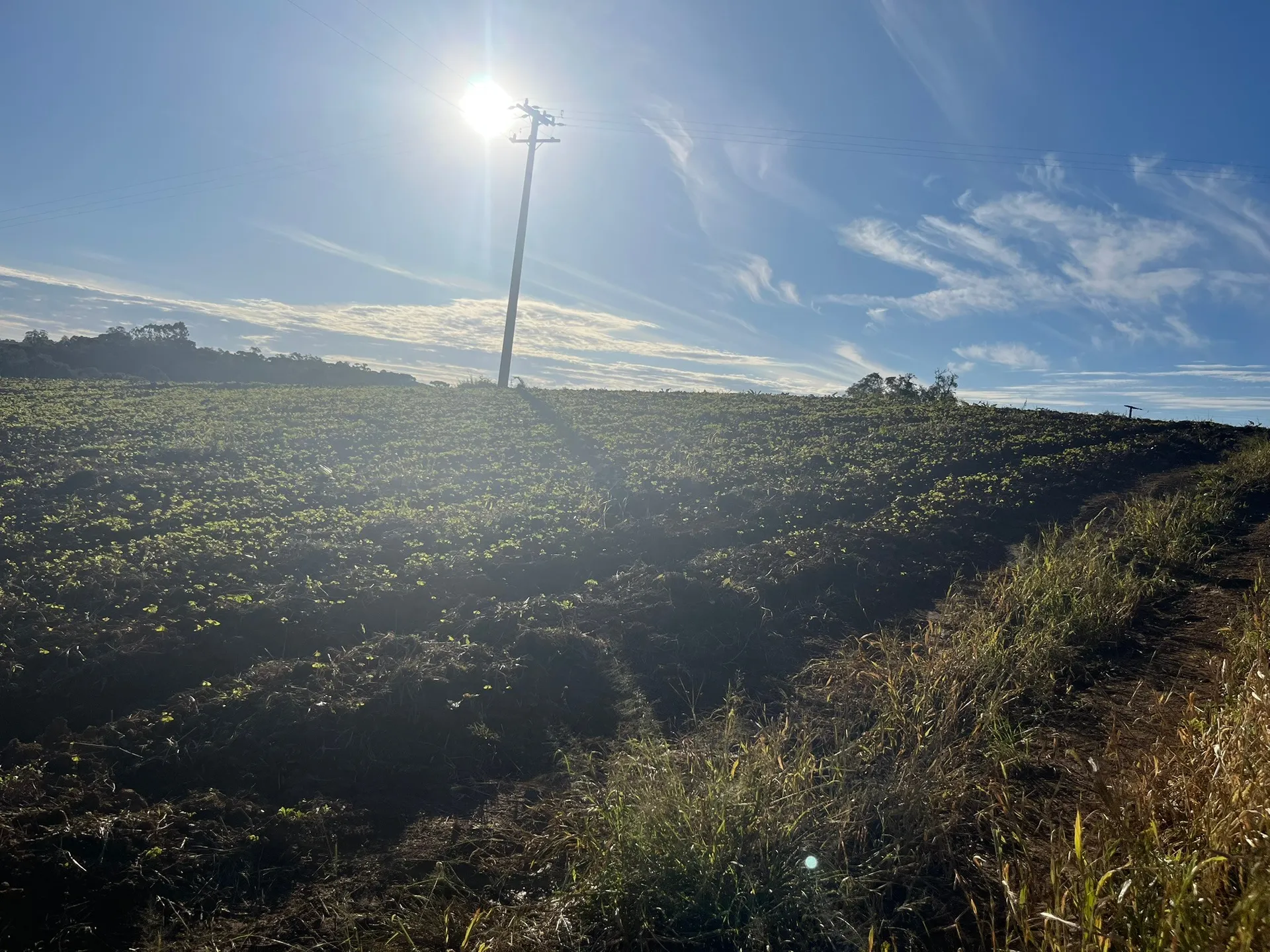 Terreno, 5000 m² - Foto 9
