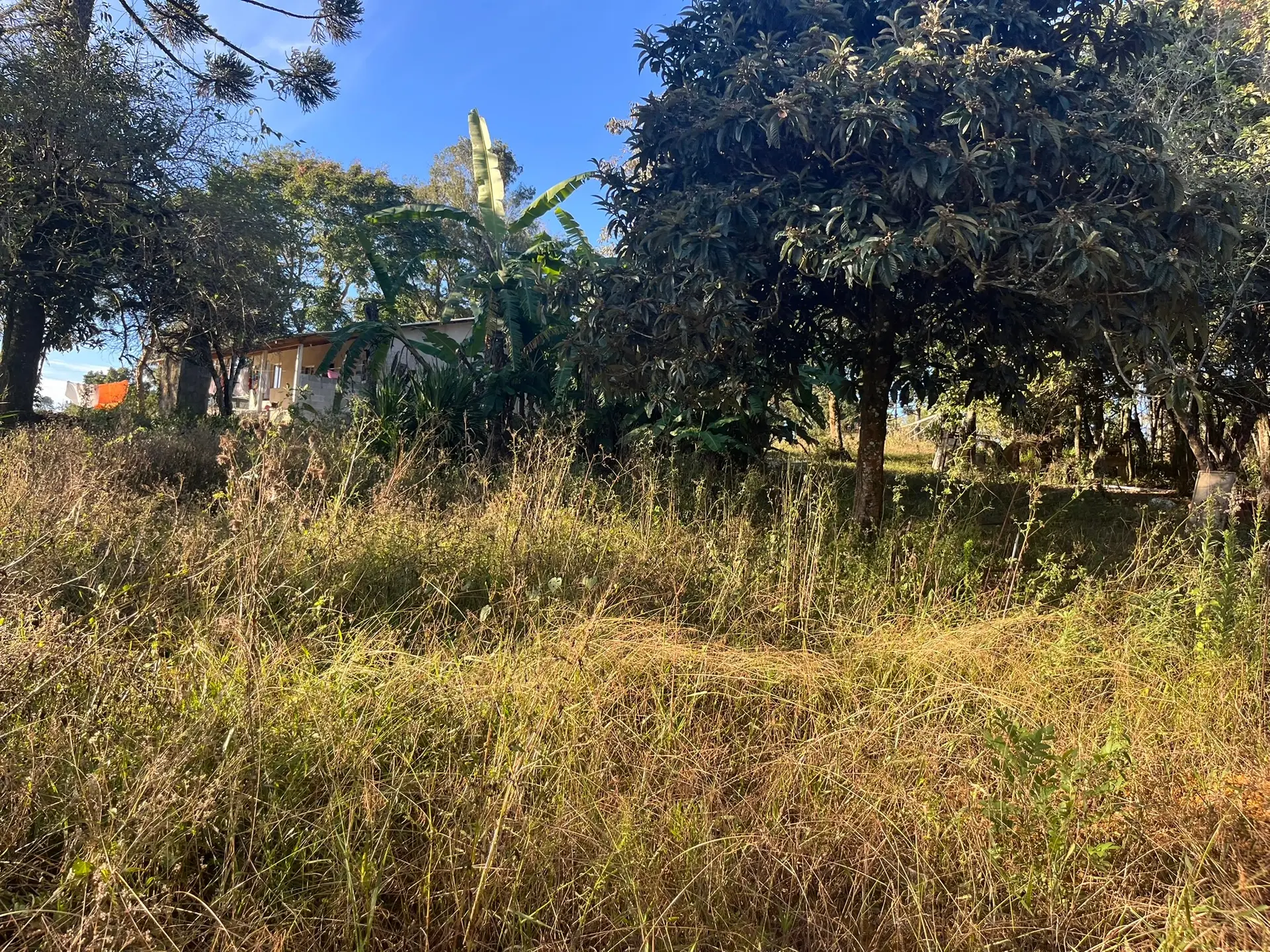 Terreno, 5000 m² - Foto 10
