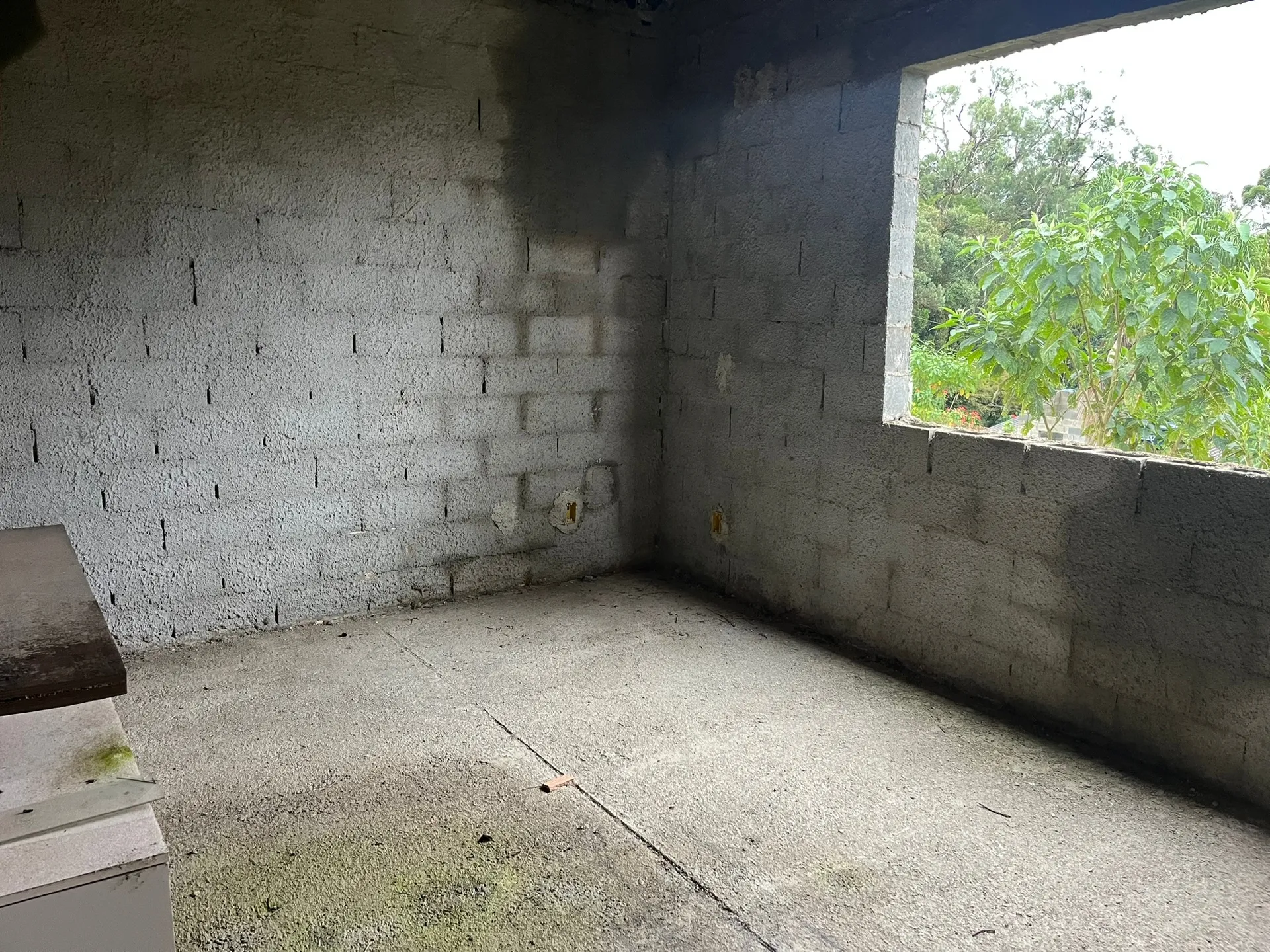 Sítio, 3 quartos, 8000 m² - Foto 11