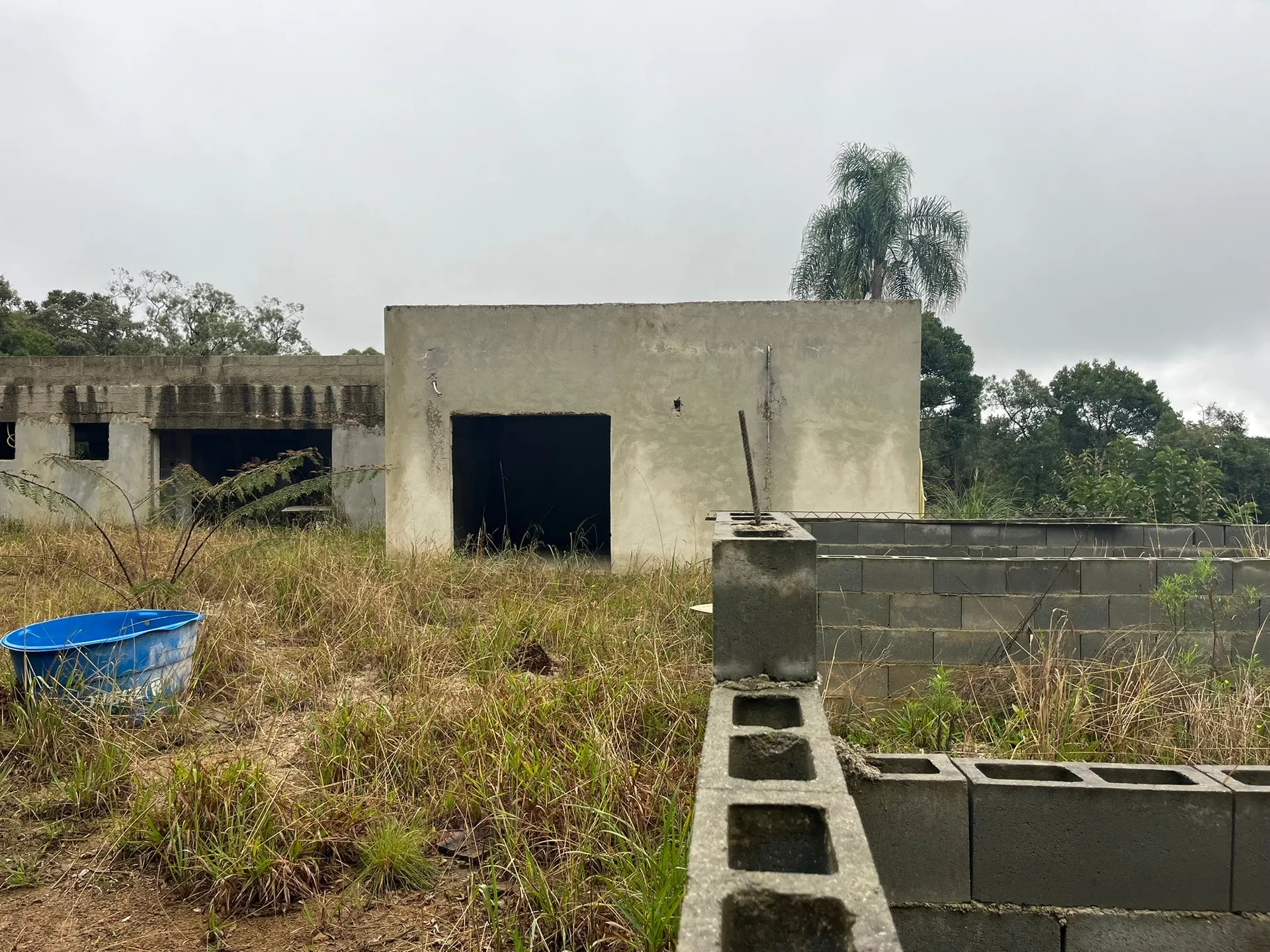 Sítio, 3 quartos, 8000 m² - Foto 18