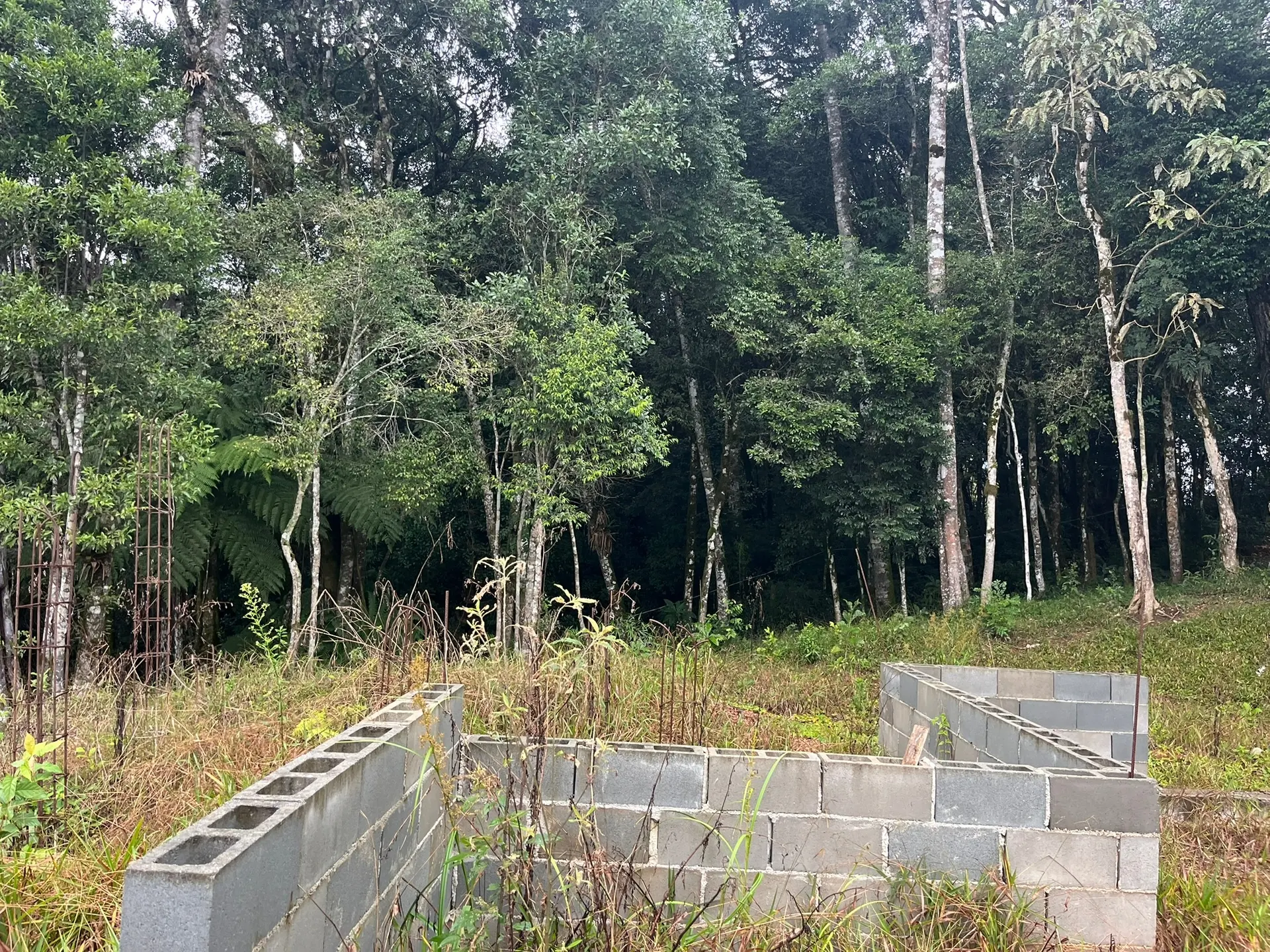 Sítio, 3 quartos, 8000 m² - Foto 21
