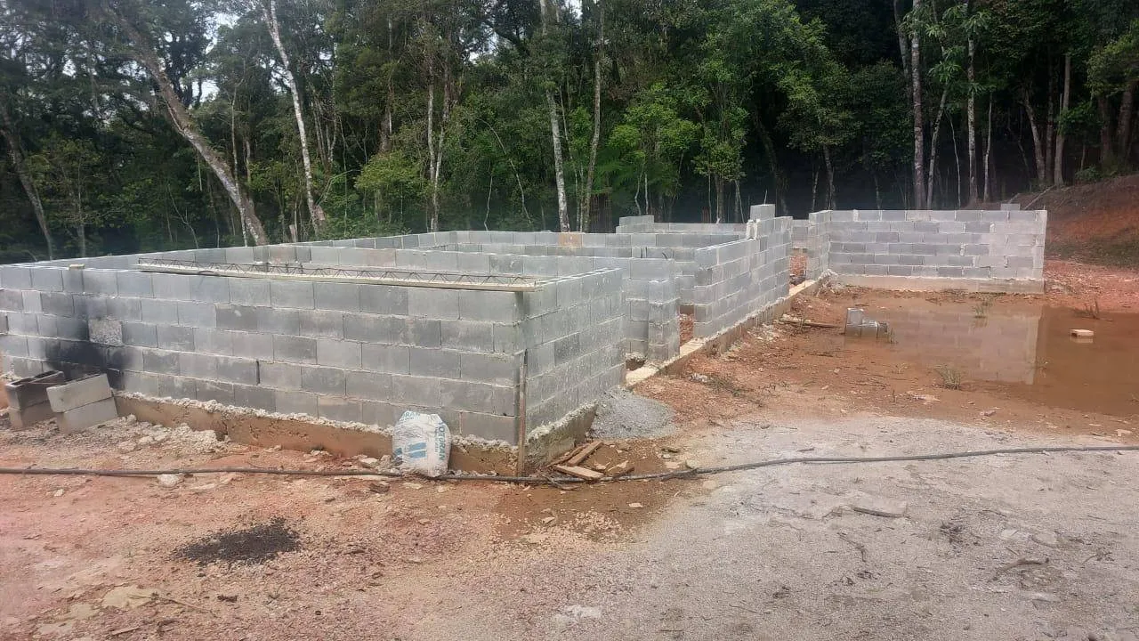 Sítio, 3 quartos, 8000 m² - Foto 2