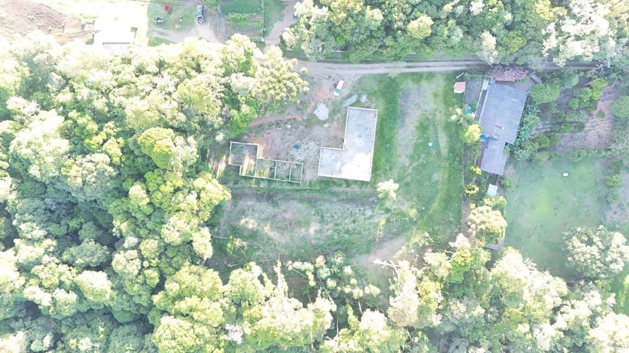 Sítio, 3 quartos, 8000 m² - Foto 10