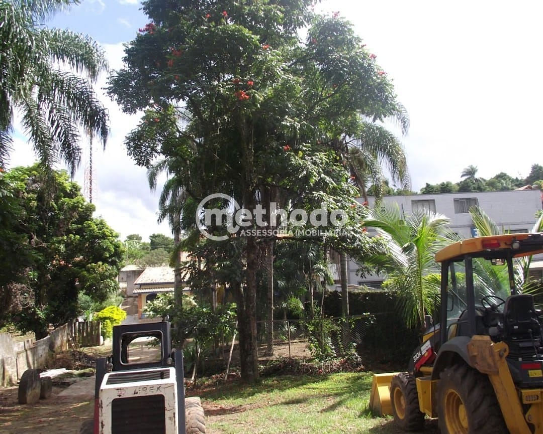 Chácara, 3 quartos, 2200 m² - Foto 4