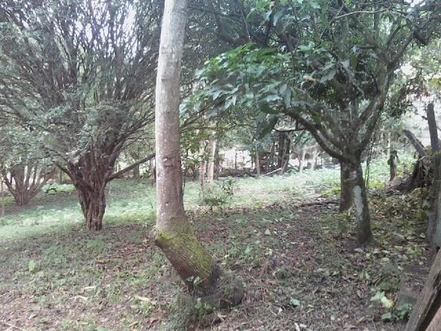 Foto do Chácara - Chácara com 2 dormitórios à venda, 7640 m² por R$ 899.000,00 - Putim - São José dos Campos/SP | INDEPENDENCE NEGOCIOS IMOBILIARIOS LTDA