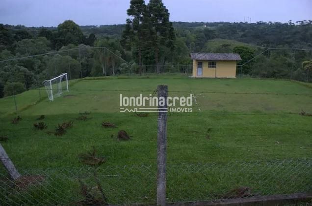 Sítio, 1 quarto, 53 hectares - Foto 5