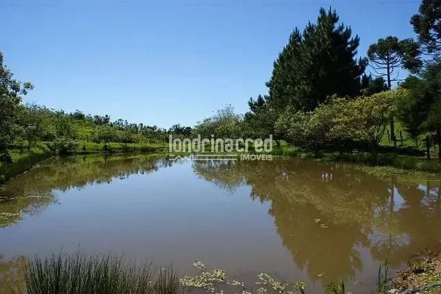 Sítio, 1 quarto, 53 hectares - Foto 7