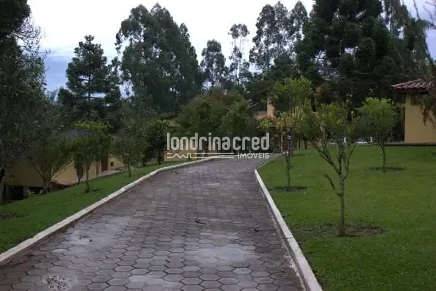 Sítio, 1 quarto, 53 hectares - Foto 6