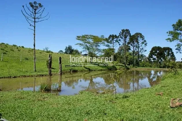Sítio, 1 quarto, 53 hectares - Foto 8