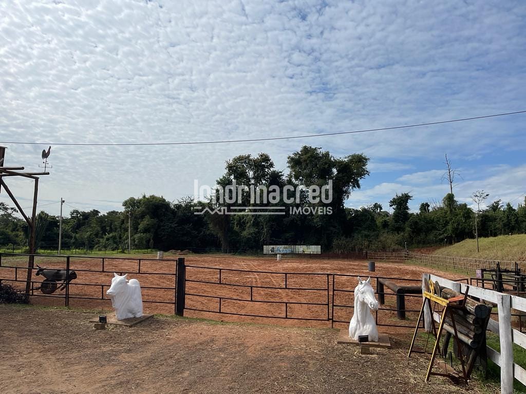 Sítio, 1 quarto, 10 hectares - Foto 12