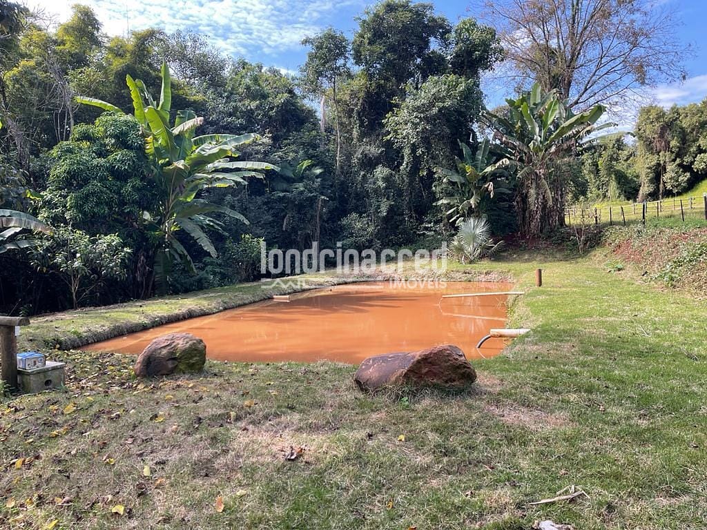 Sítio, 1 quarto, 10 hectares - Foto 10