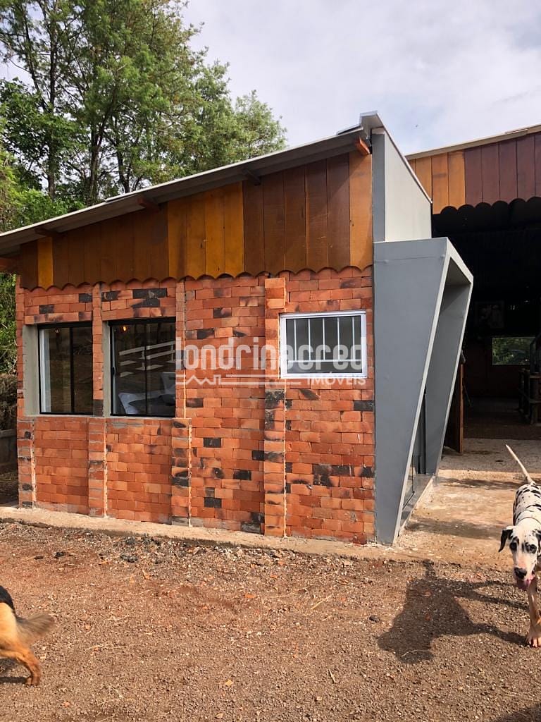 Sítio, 1 quarto, 10 hectares - Foto 4