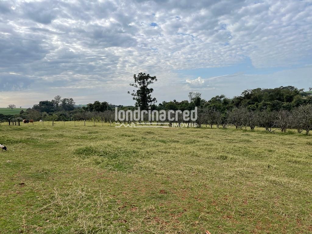 Sítio, 1 quarto, 10 hectares - Foto 14