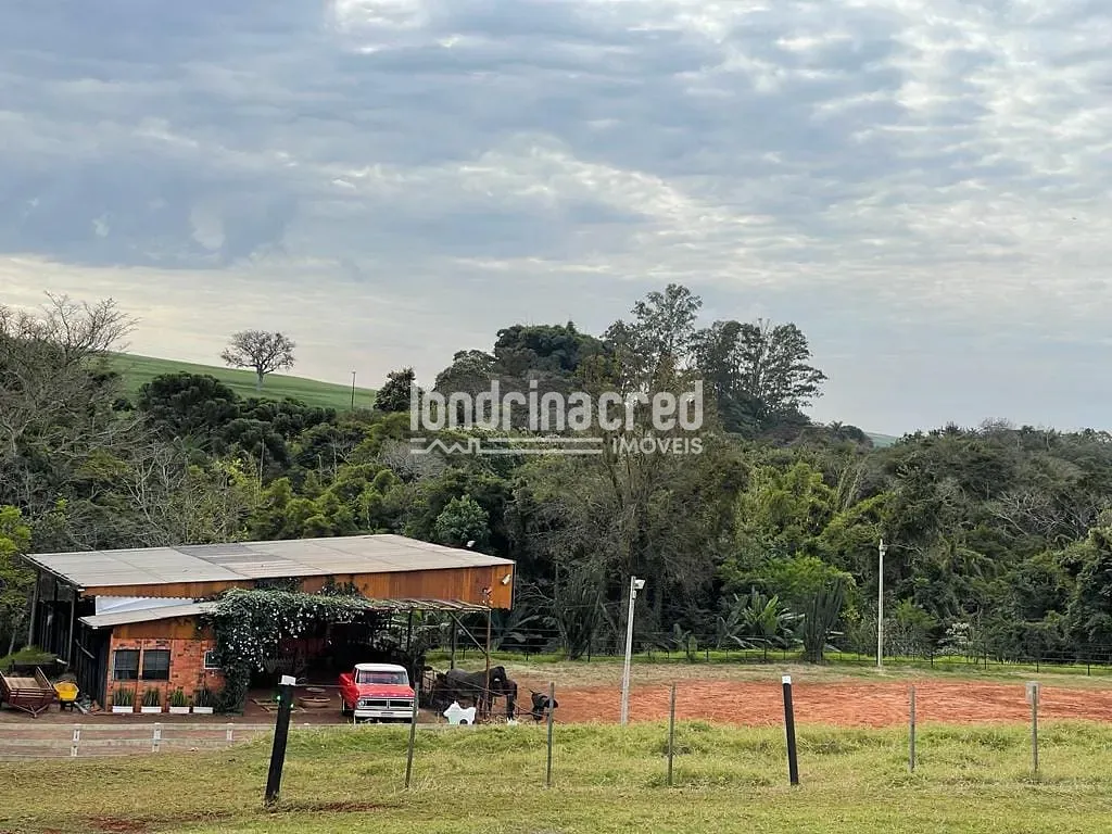 Sítio, 1 quarto, 10 hectares - Foto 13