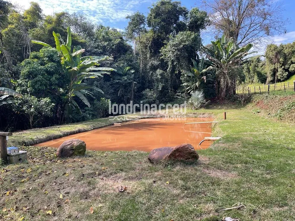 Sítio, 1 quarto, 10 hectares - Foto 10