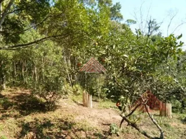 Chácara com 11000m² 1 quarto e 1 banheiro, à venda, no bairro Recanto Vital Brasil em Mauá