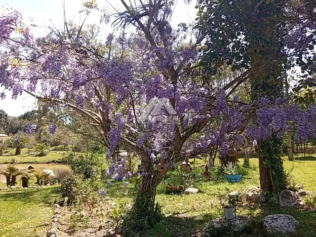 Chácara com 7399m² 2 quartos e 1 banheiro, à venda, no bairro Centro em Guará