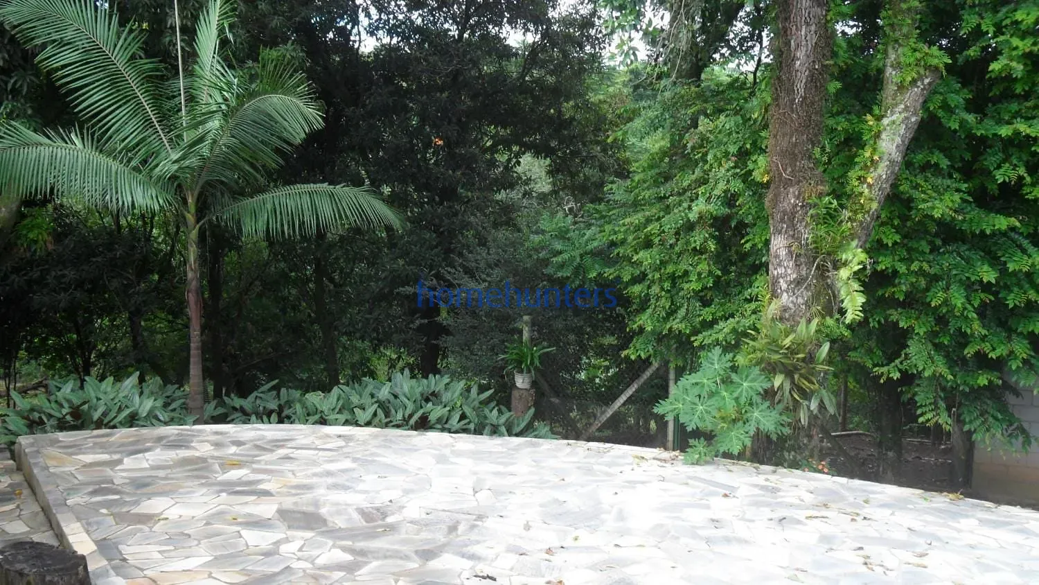 Chácara, 5 quartos, 1 hectares - Foto 7