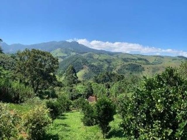 Foto do Chácara - Chácara à venda, 1700 m² por R$ 320.000,00 - Santa Barbara (São Francisco Xavier) - São José dos Campos/SP | INDEPENDENCE NEGOCIOS IMOBILIARIOS LTDA