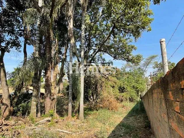 Chácara com 2994m² 3 quartos e 2 banheiros, à venda, no bairro São Luiz em Paulínia