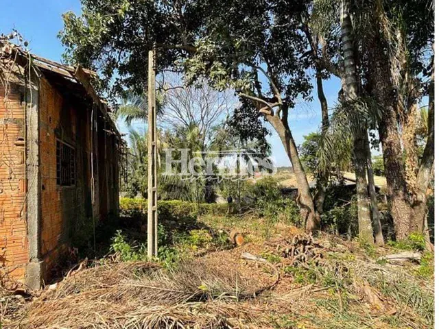 Chácara com 2994m² 3 quartos e 2 banheiros, à venda, no bairro São Luiz em Paulínia
