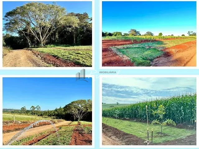 Chácara com 2000m², à venda, no bairro Área Rural de Arapongas em Arapongas