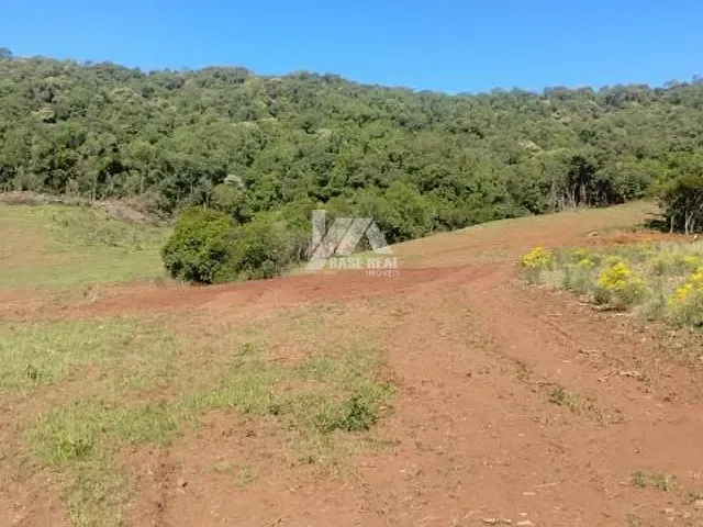 Chácara com 161323m² 3 quartos e 1 banheiro, à venda, no bairro Vila Jordão em Guarapuava